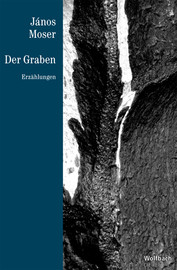 Der Graben - Die Reihe Bd. 24